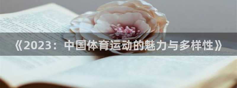 熊猫体育网址：《2023：中国体育运动的魅力与多样性》