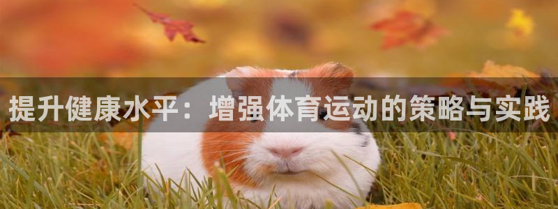 中山熊猫体育：提升健康水平：增强体育运动的策略与实践