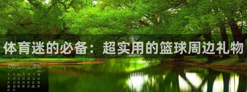 熊猫体育比赛直播：体育迷的必备：超实用的篮球周边礼物