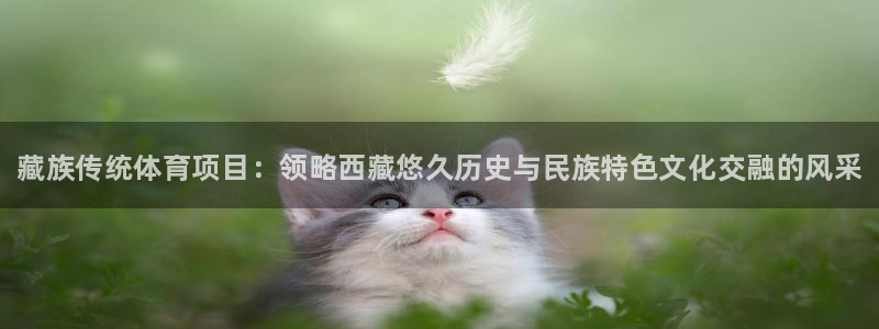 熊猫体育免费下载：藏族传统体育项目：领略西藏悠久历史与民族特色文化交融的风采