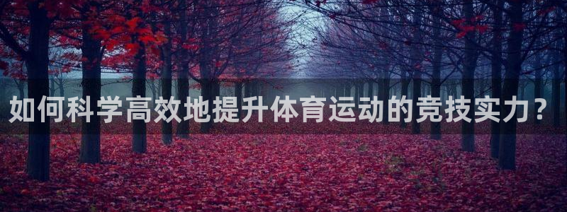 熊猫体育sports：如何科学高效地提升体育运动的竞技实力？