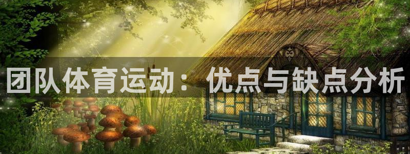 团队体育运动：优点与缺点分析