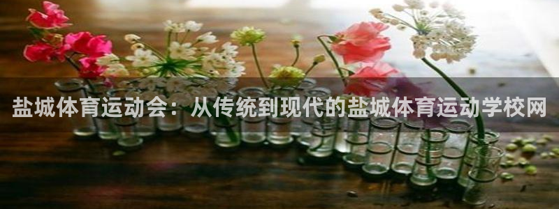 熊猫体育文化有限公司：盐城体育运动会：从传统到现代的盐城体育运动学校网