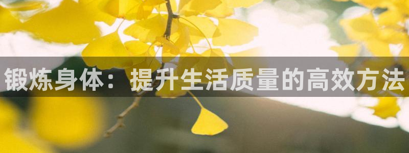 成都金熊猫体育：锻炼身体：提升生活质量的高效方法