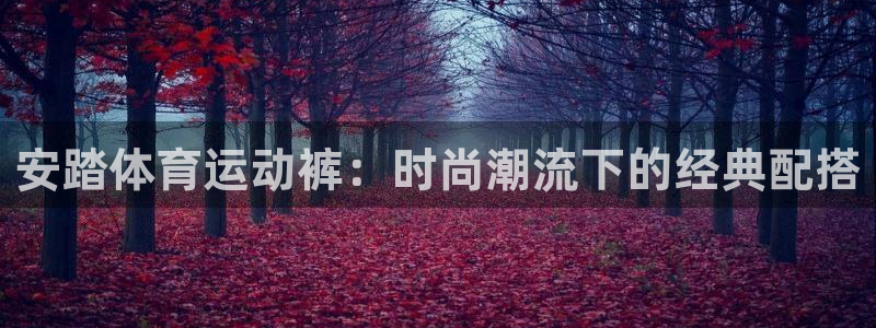 熊猫体育公园：安踏体育运动裤：时尚潮流下的经典配搭