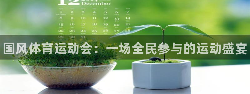 熊猫体育怎么样：国风体育运动会：一场全民参与的运动盛宴
