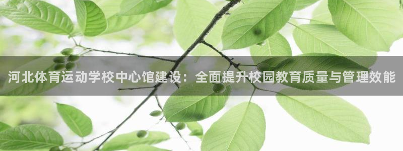 熊猫体育在线：河北体育运动学校中心馆建设：全面提升校园教育质量与管理效能