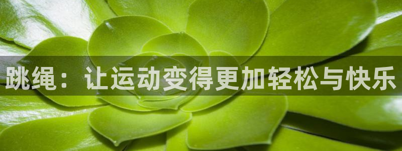 熊猫体育公园价格