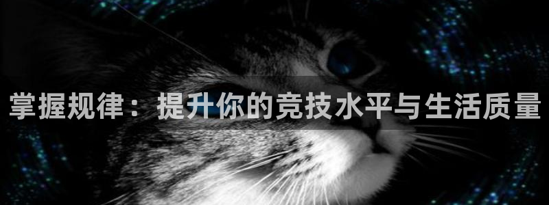 熊猫体育官网