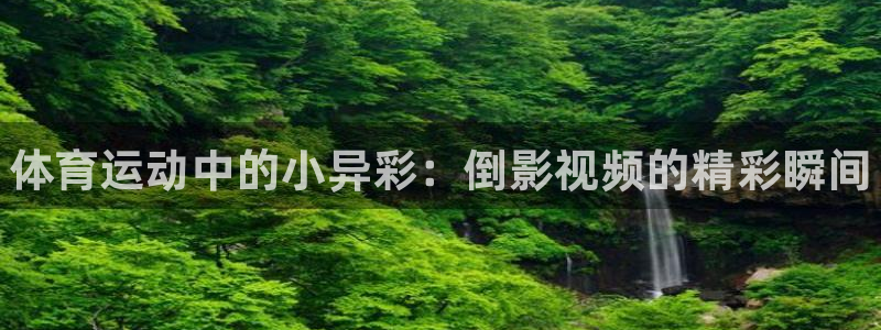 熊猫体育app官网入口