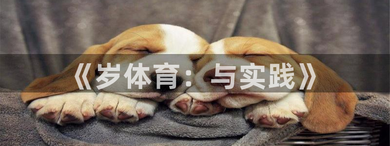 中山熊猫体育