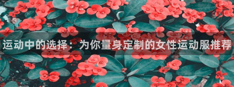 熊猫体育网址