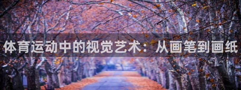 熊猫体育app官方下载最新版