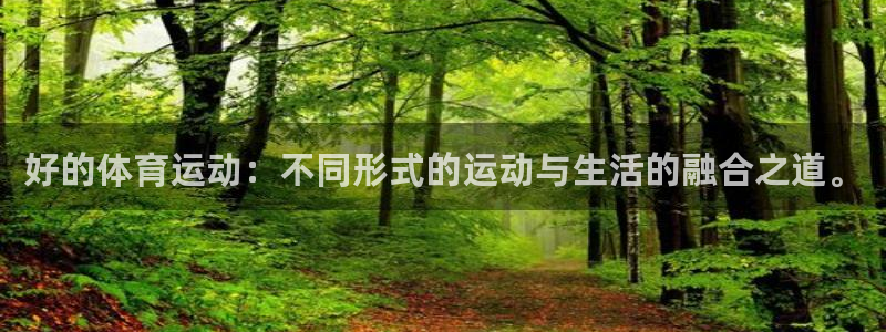 熊猫体育怎么样