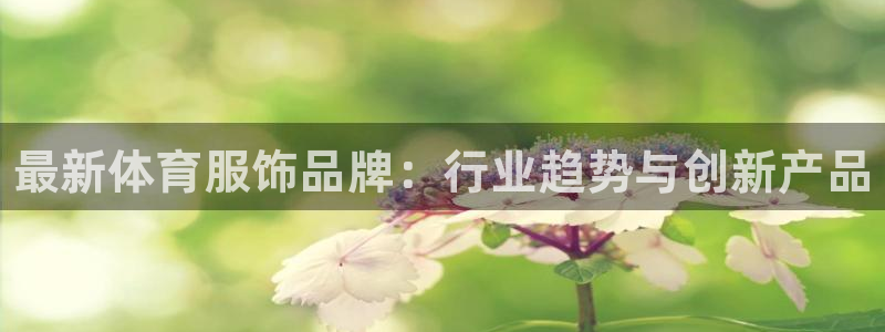 熊猫体育平台
