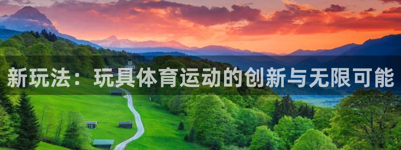 熊猫体育官方网站：新玩法：玩具体育运动的创新与无限可能