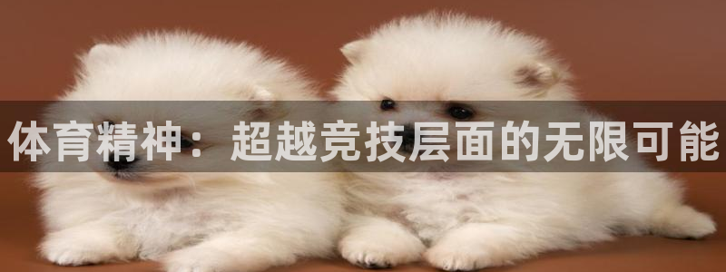 熊猫体育直播nba：体育精神：超越竞技层面的无限可能