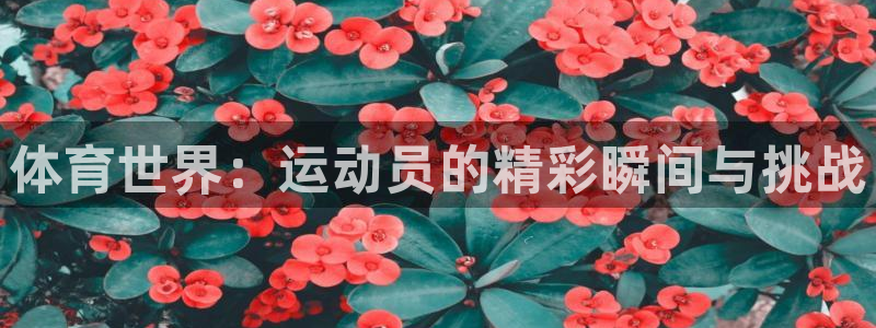 熊猫体育官网首页入口：体育世界：运动员的精彩瞬间与挑战