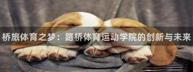中山熊猫体育：桥旅体育之梦：路桥体育运动学院的创新与未来