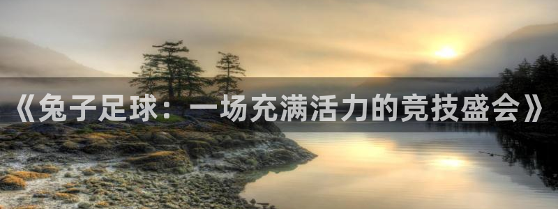 熊猫体育平台：《兔子足球：一场充满活力的竞技盛会》