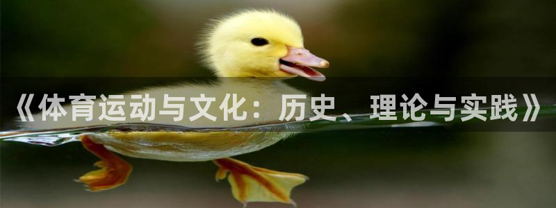 成都熊猫体育公园：《体育运动与文化：历史、理论与实践》