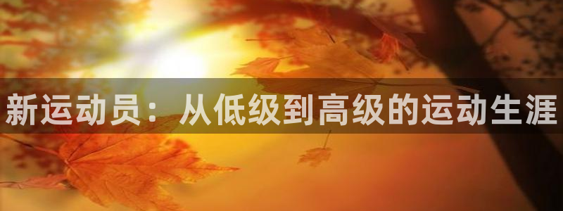 熊猫体育文化有限公司：新运动员：从低级到高级的运动生涯