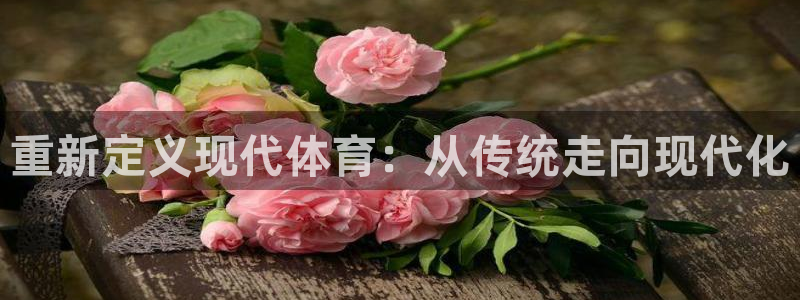 下载熊猫体育：重新定义现代体育：从传统走向现代化