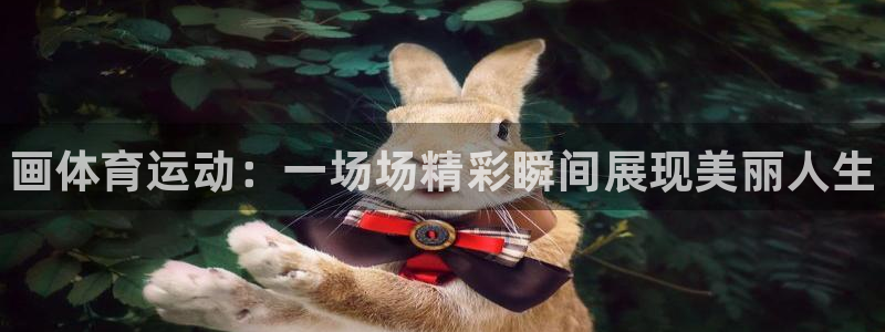 熊猫体育公园价格：画体育运动：一场场精彩瞬间展现美丽人生