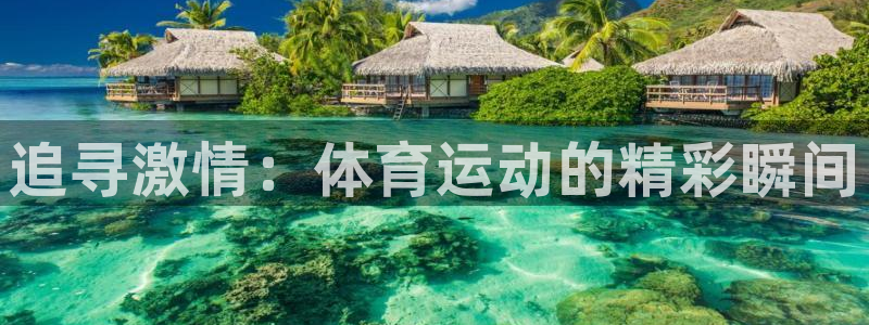 熊猫体育app官方入口：追寻激情：体育运动的精彩瞬间