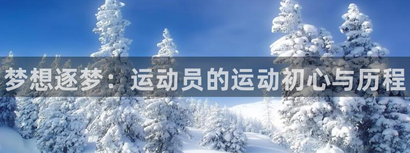 动感熊猫体育公园
