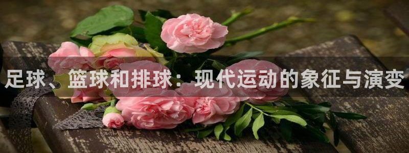 熊猫体育app官方入口