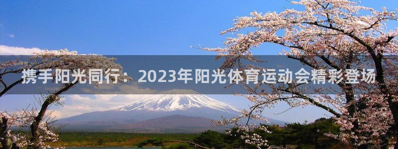 熊猫体育文化有限公司
