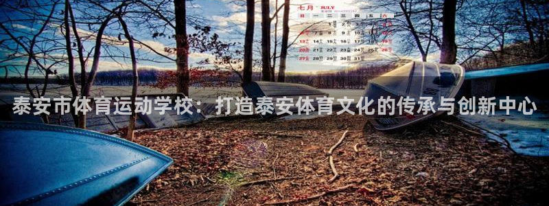 成都金熊猫体育