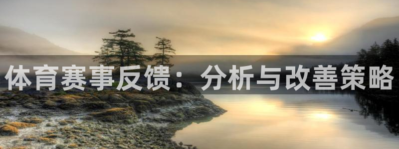 熊猫体育手机版
