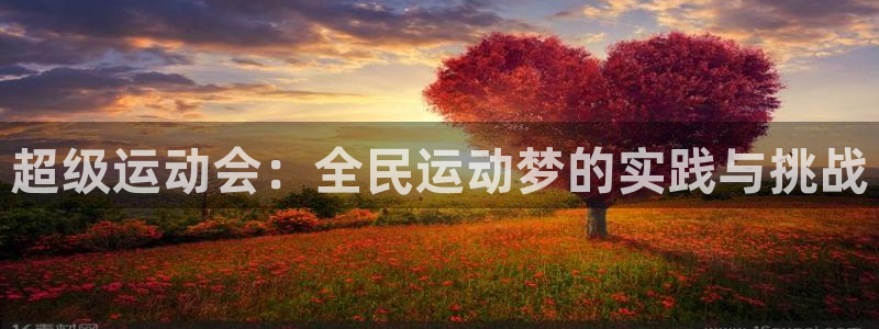 熊猫体育平台