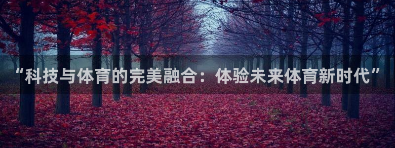 熊猫体育平台
