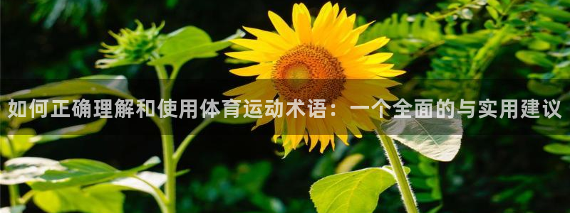 熊猫体育手机版下载：如何正确理解和使用体育运动术语：一个全面的与实用建议