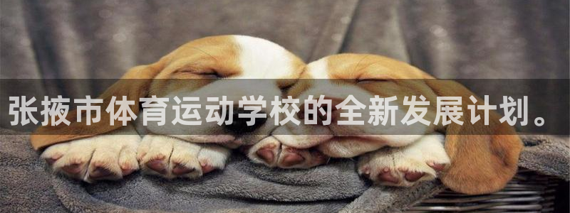 熊猫体育公园价格：张掖市体育运动学校的全新发展计划。
